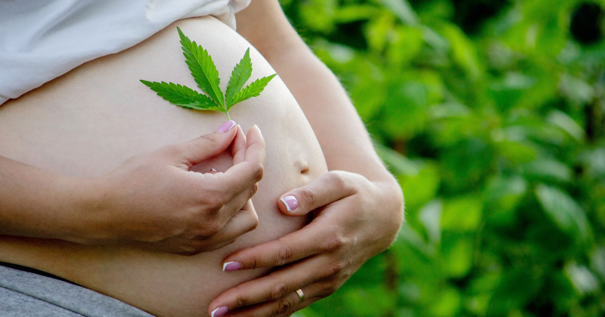 cannabidiol femme enceinte